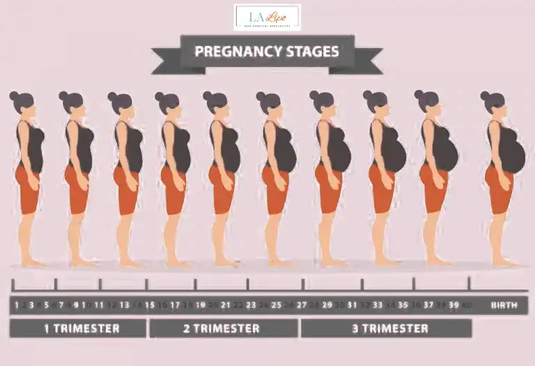 First Trimester (Weeks 1–12): Early Changes You Might Not Notice West Ealing